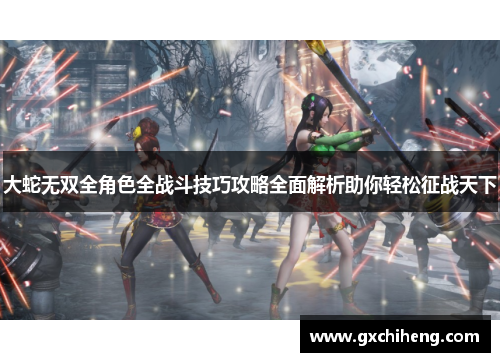 大蛇无双全角色全战斗技巧攻略全面解析助你轻松征战天下